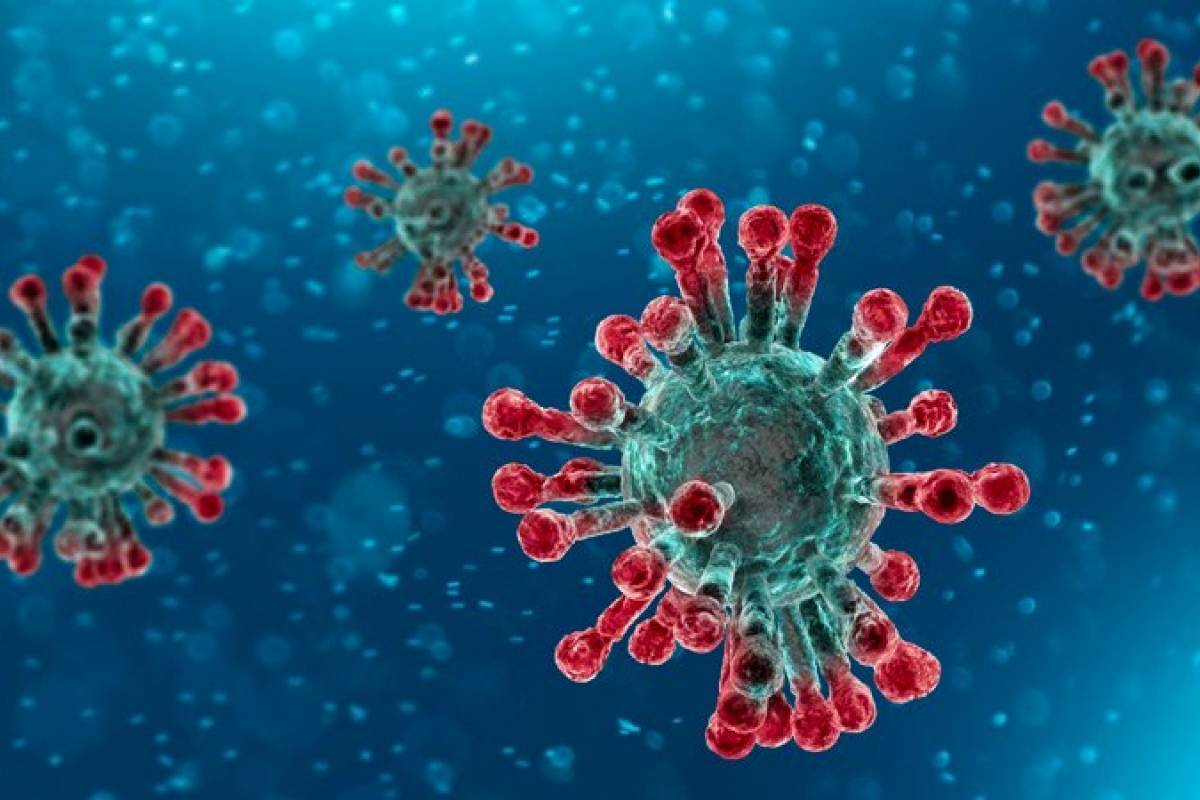 Coronavirus: aclaran que "el virus no vuela en el aire" y el ...